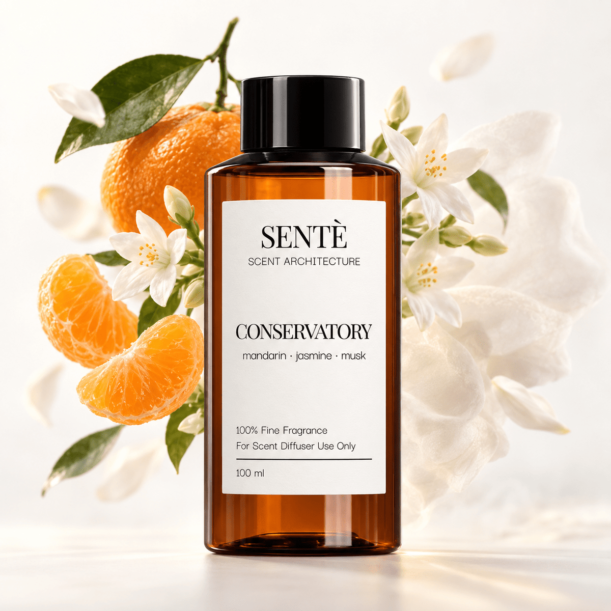 CONSERVATORY - sente