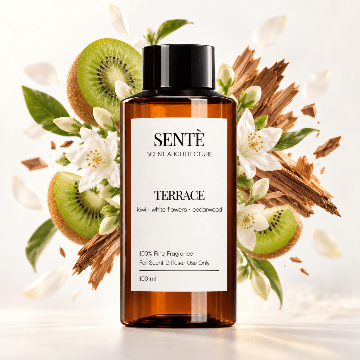 TERRACE - sente